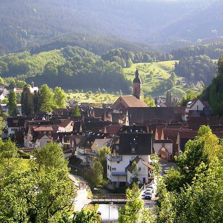 Ferienwohnung Am Hauskopf 奥珀瑙 外观 照片