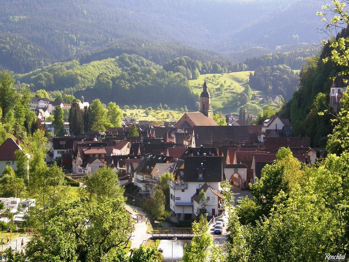 Ferienwohnung Am Hauskopf 奥珀瑙 外观 照片